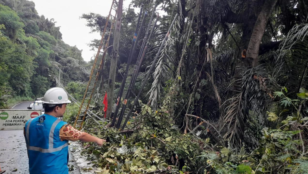 Teten-Manajer-PLN-ULP-Tanjungsari-menunjukkan-pohon-tumbang-penyebab-tiang-listrik-roboh.jpg