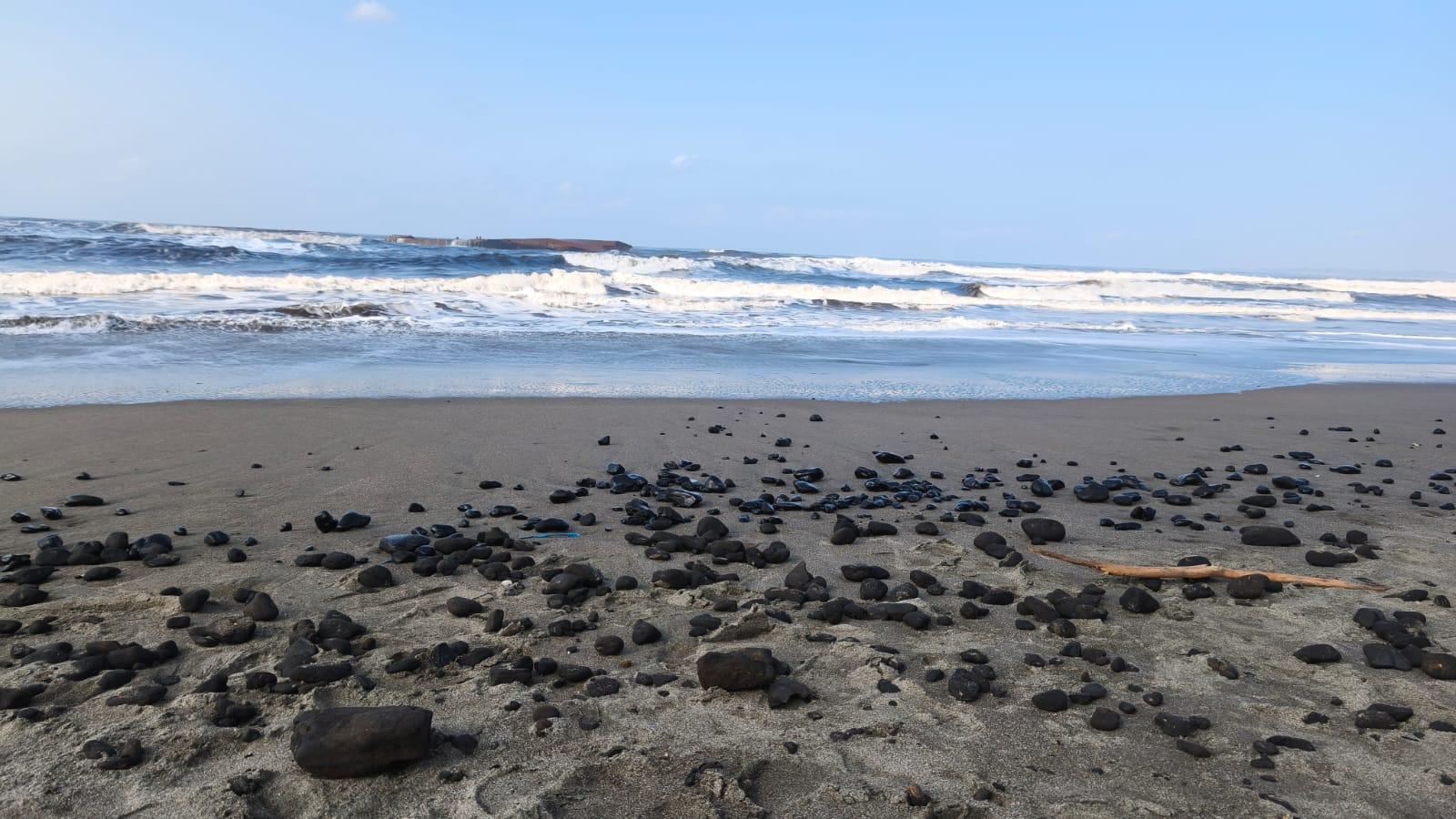 DLH Jabar Konfirmasi Pencemaran Batu Bara di Perairan Pangandaran, Kandungan Logam Berat Tinggi - Tribunjabar.id