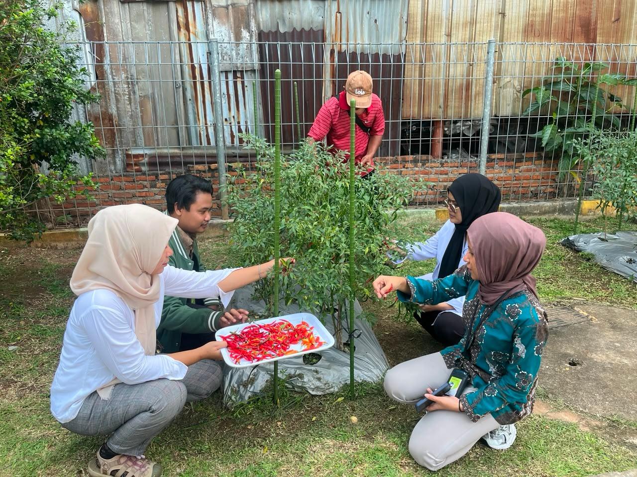URBAN-FARMING-Pertamina-Patra.jpg