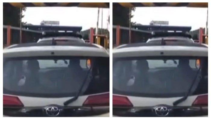 Viral-mobil-Calya-menerobos-dua-Gerbang-Tol-tanpa-bayar.jpg