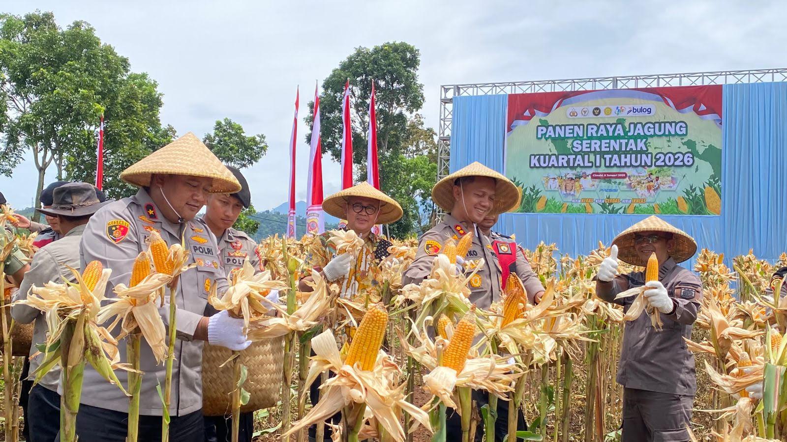 Wakapolda-Jabar-Brigjen-Adi-Vivid-Agustiadi-Bachtiar-panen-raya-jagung.jpg