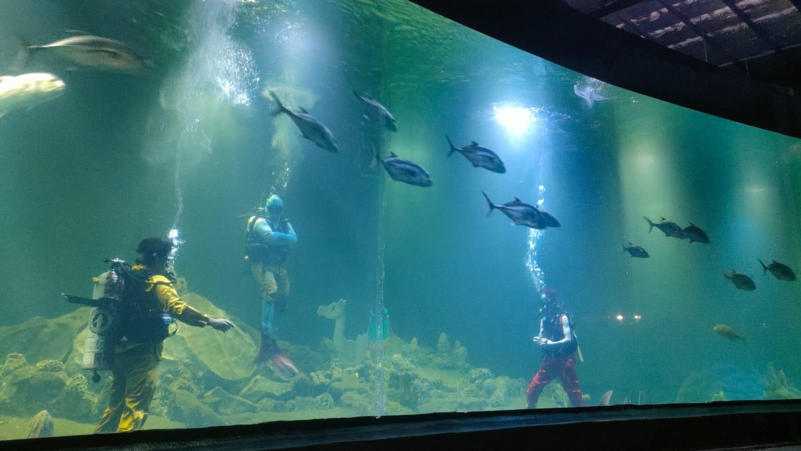 Aquarium Indonesia Pangandaran Jadi Wisata Edukasi Favorit Saat Libur Panjang