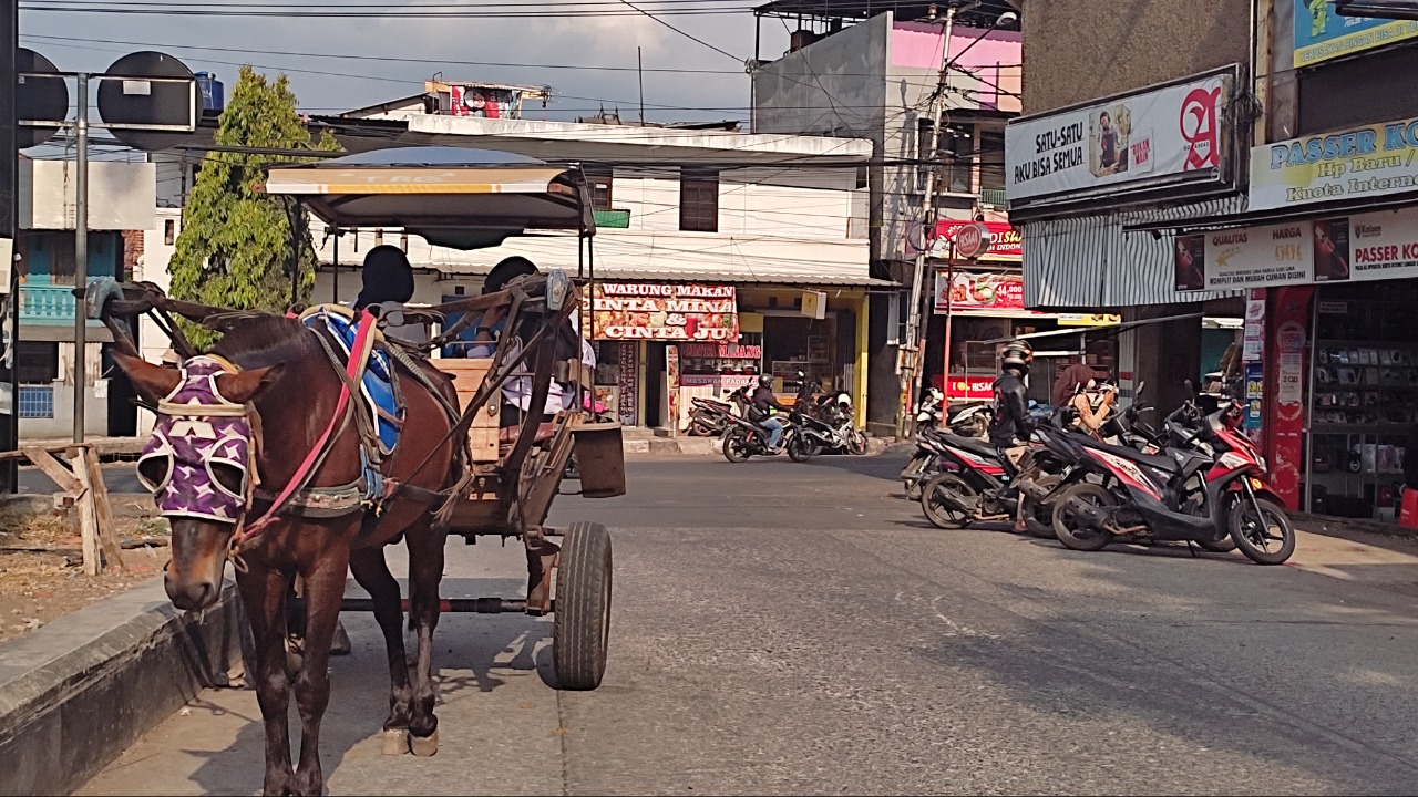 angkutan-delman-di-pertigaan-rancabango-tarogong-kaler.jpg
