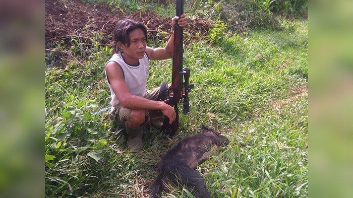 Teror Ajag Kembali Muncul di Kuningan, Sasarannya Ternyata Tak Cuma Kambing