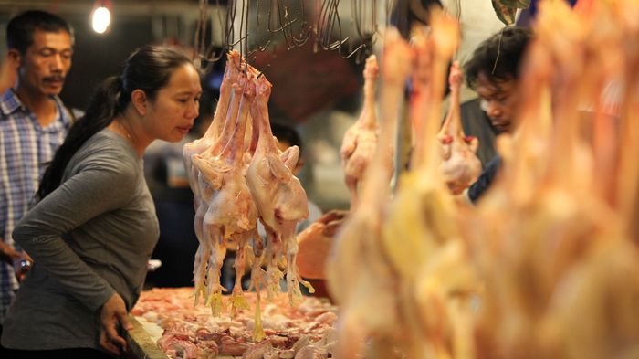 Dinas Ketahanan Pangan dan Peternakan Sebut Harga dan Stok Pangan Bulan Ramadan Terkendali