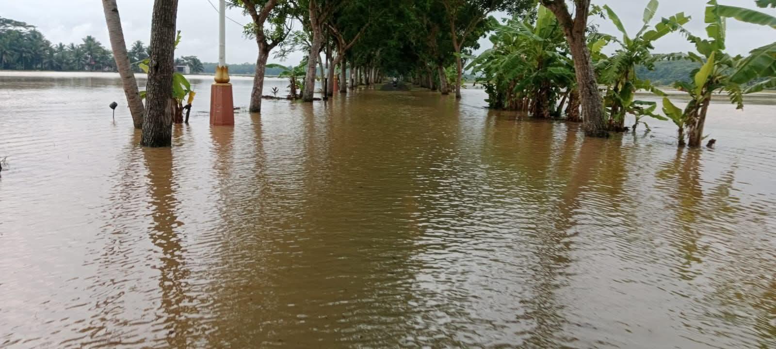 Banjir Kiriman dan Pancaroba di Pangandaran Rendam Desa Pamotan, Ratusan Rumah Terendam