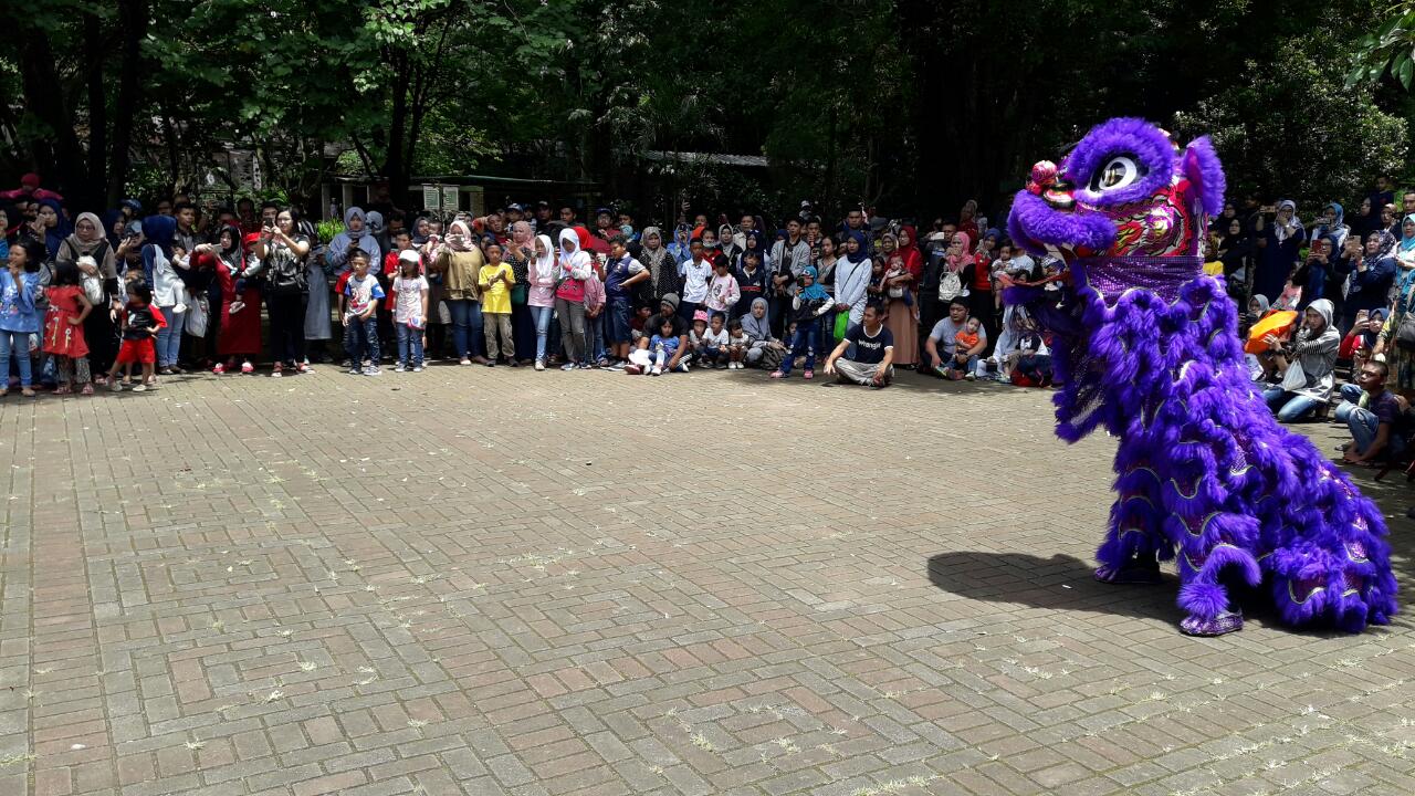 barongsai-di-bandung-zoo.jpg