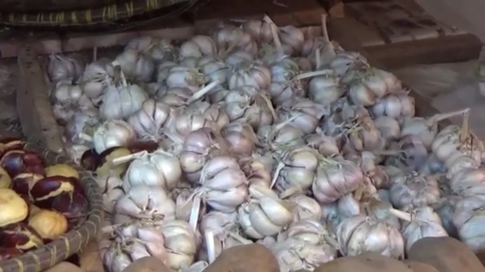 bawang-putih-mahal.jpg