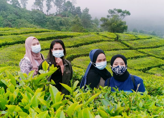 Ridwan Kamil Ingin Aktifkan Jalur Kereta Api Bandung-Ciwidey dan Bikin Jalur Baru KA di Selatan