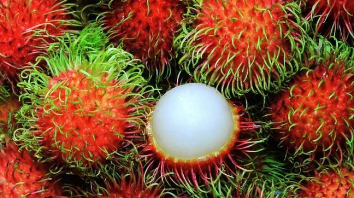 Selain Enak, Buah Rambutan Bagus untuk Kesehatan Ginjal, Ini Sederet Manfaat Lainnya