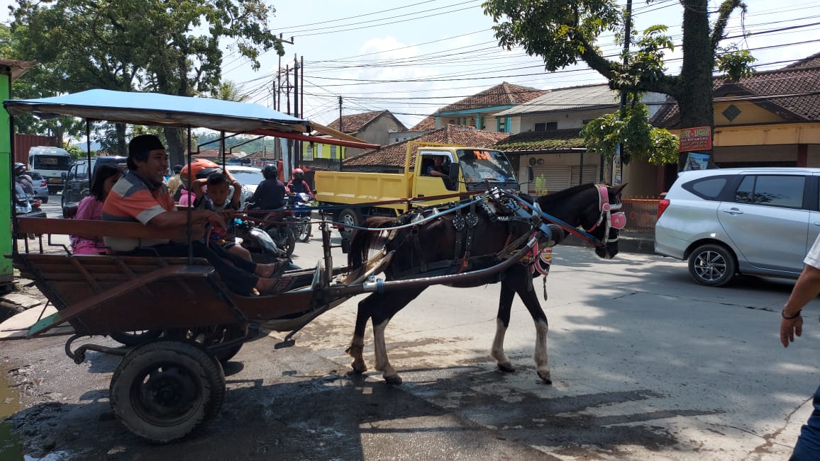 delman-saat-beroperasi-di-kawasan-padalarang.jpg