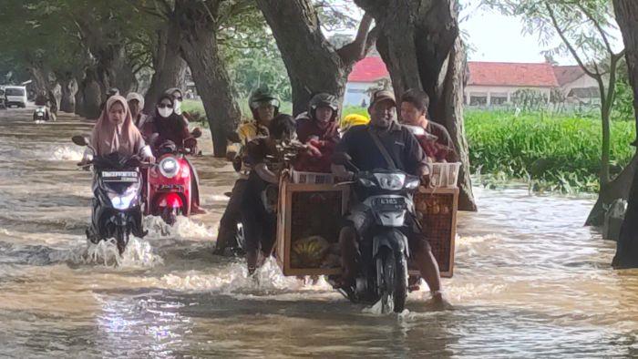di-jalan-provinsi-di-Desa-Bayalangu-Kidul-Kecamatan-Gegesik-Kabupaten-Cirebon.jpg