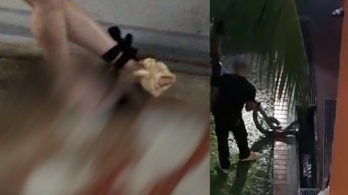 Perempuan Ini Kaget Digigit Ular Piton Sepanjang 3 Meter, Dikiranya Dicakar Kucing