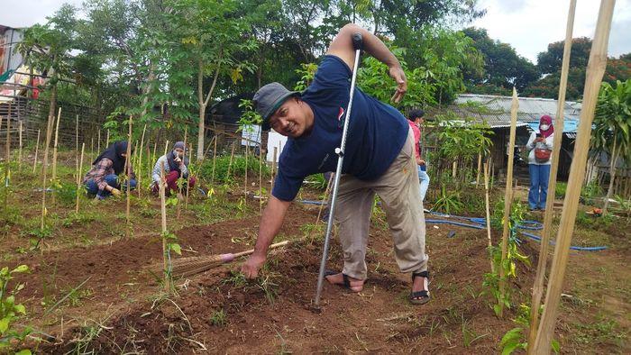 disabilitas-saat-bercocok-tanam-di-lahan-pertanian-Kota-Cimahi.jpg