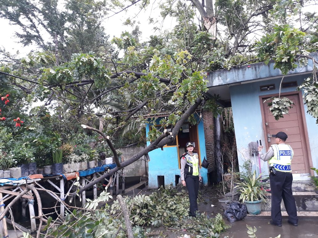 dua-bangunan-tertimpa-pohon-tumbang-di-jalan-cibaduyut-raya-jumat-1122017_20171201_122606.jpg