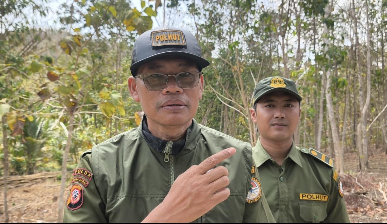 Geger Monyet Liar Ngamuk, Kebun Warga Pangandara Terancam