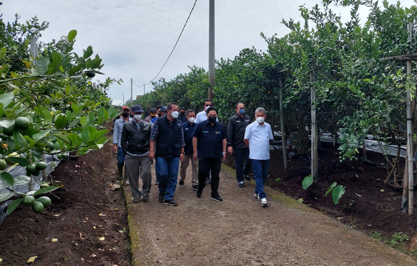 Saran Menteri BUMN Erick Thohir Agar Petani di Indonesia Menjadi Petani Sukses