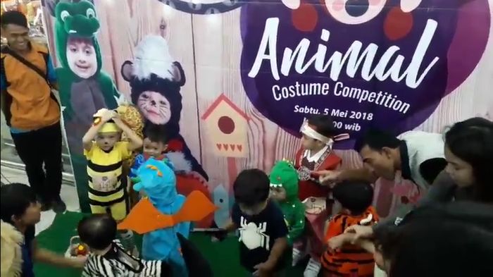fashion-show-animal-costume-competition_20180505_201343.jpg