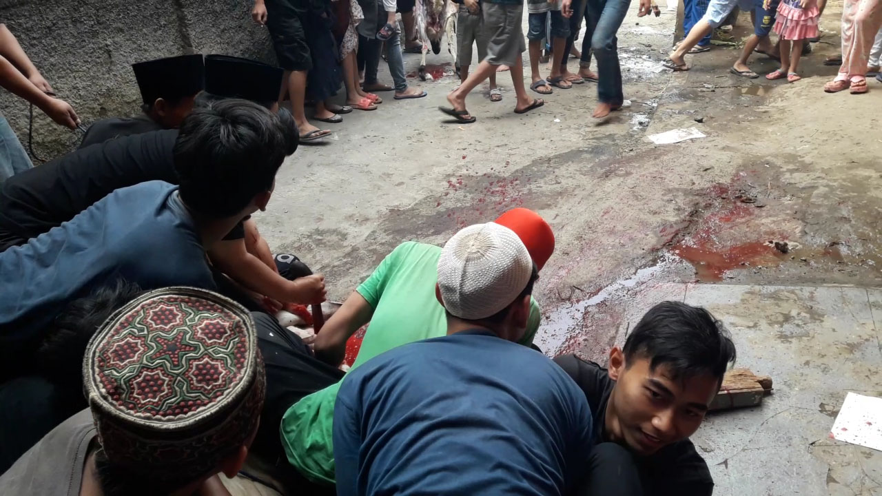 hewan-kurban-yang-disembelih-di-pondok-pesantren-darut-taubah-kawasan-saritem_20170901_142354.jpg