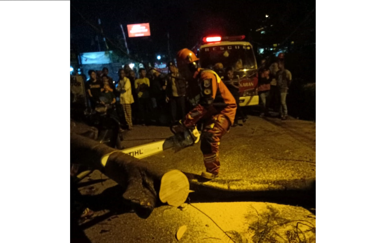 Akibat Hujan Angin, Pohon Tumbang Merusak Satu Unit Motor