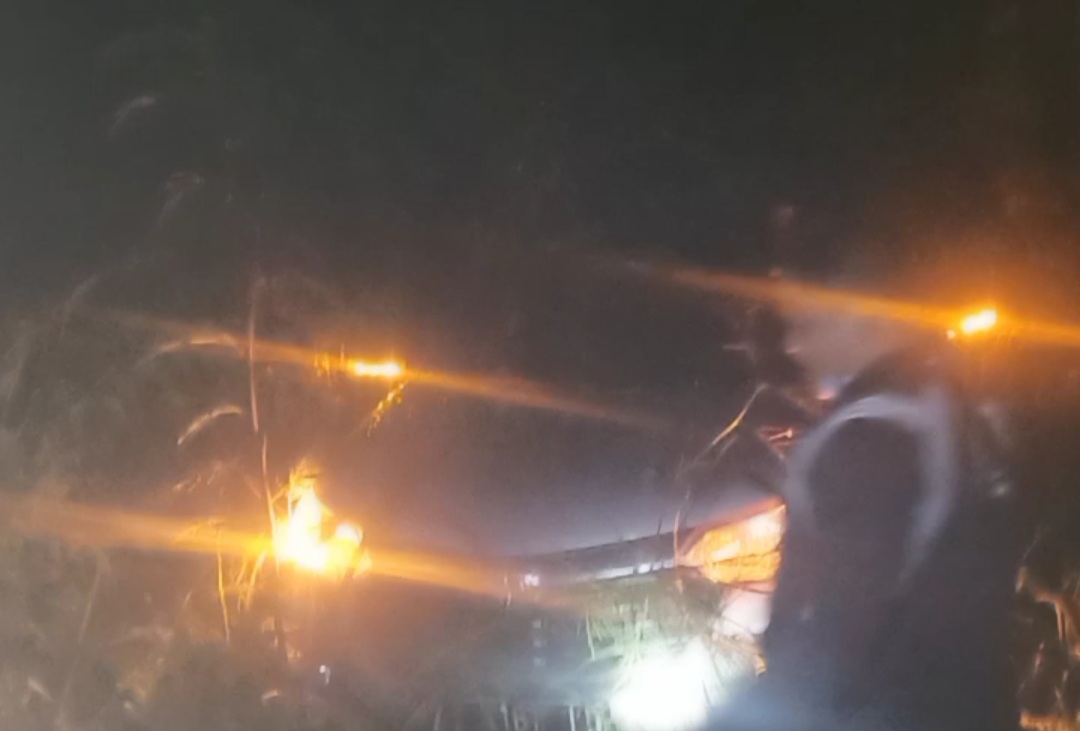 hujan-deras-dan-kabut-tebal-avanza-berpenumpang-7-orang-tersesat-masuk-hutan-ini-para-korban.jpg