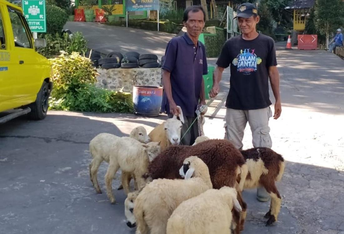 iim-kambing-kdm.jpg