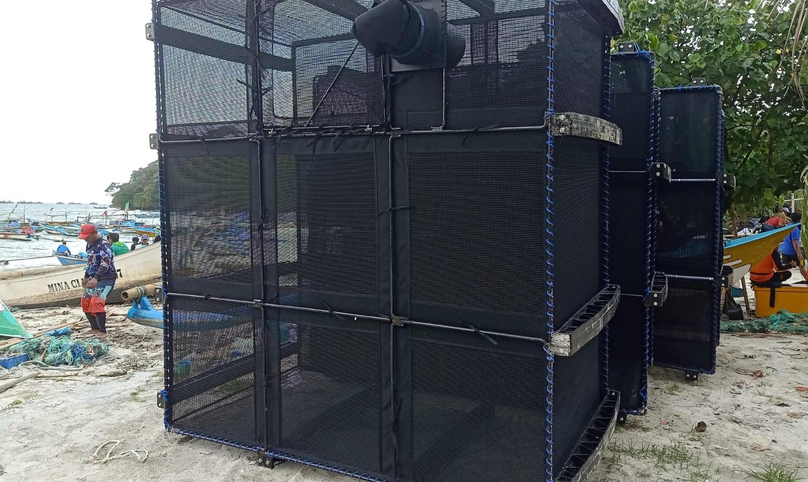 Keramba Apung Ditolak di Pangandaran karena Rusak Alam, Bu Susi: Ini Malah Pasang, Luar Biasa Gila