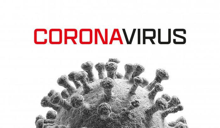 ilustrasi-virus-corona__0107.jpg