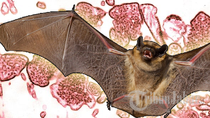 Tukli ona jinsiy aloqa video Cumshot Riders