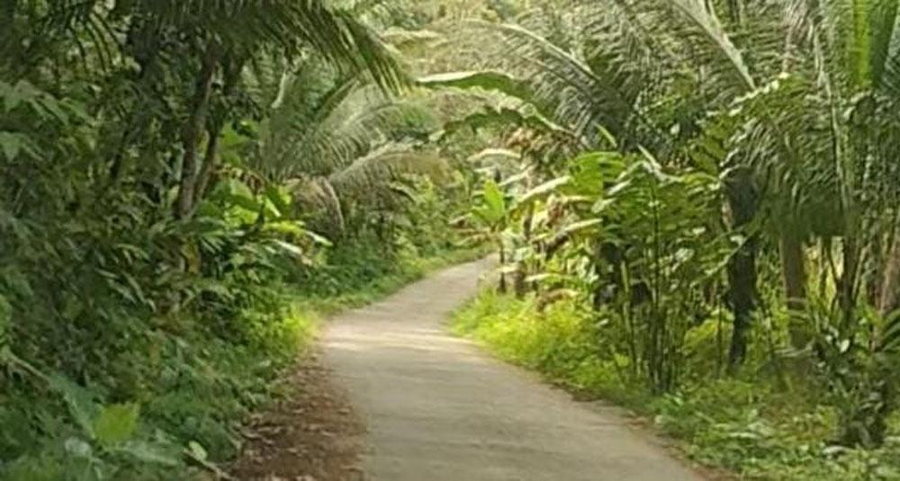 Ini Dia Peta Jalur Alternatif ke Pangandaran, dari Ciamis hingga Tasikmalaya Hindari Kemacetan