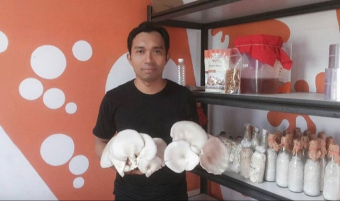 Gunakan Limbah Rumah Tangga, Pria Ini Budidaya Jamur di Rumah,