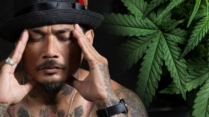 jerinx-sid-ingin-ganja-legal-di-indonesia.jpg