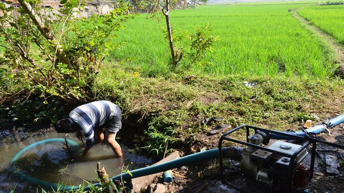 Atasi Kekeringan, Jabar Siapkan Dana Kebencanaan Rp 50 Miliar