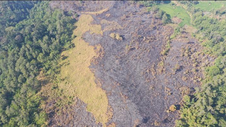 kebakaran-hutan-gunung-masigit.jpg