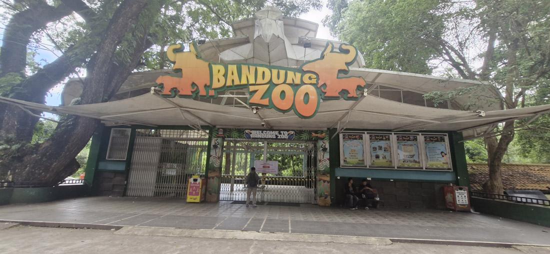 Seleksi Pengelola Kebun Binatang Bandung Masuk Tahap Akhir, 3 Finalis Diumumkan 25 Mei 2026