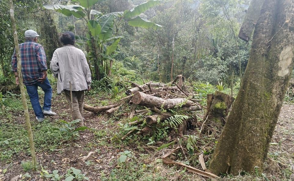 Lahan Blok Cangkuang Cidahu Sukabumi Rusak: Pemerintah Diminta Jadikan Hutan Rakyat