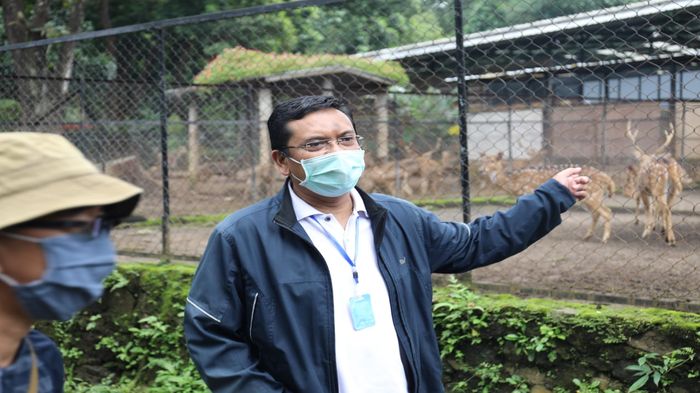 ketua-dprd-kota-bandung-tedy-rusmawan-tinjau-satwa-di-bandung-zoo-552020.jpg