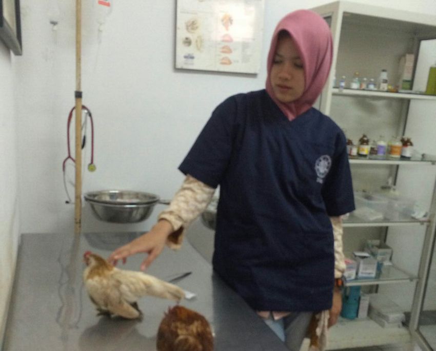 klinik-hewan-dispertapa-kota-bandung_20160718_201602.jpg