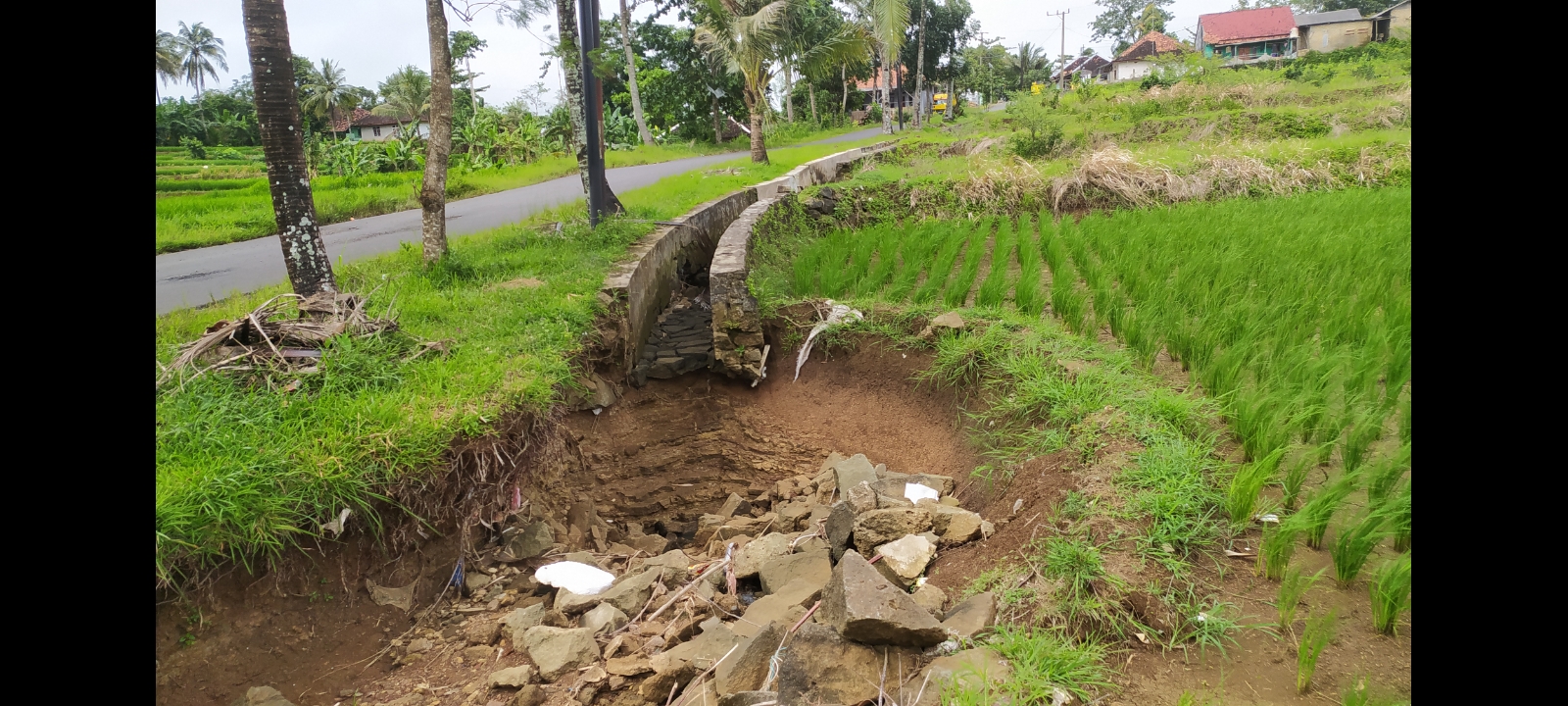 kondisi-irigasi-jebol-rusak-sawah-dan-jalan-di-ciracap-sukabumi.jpg