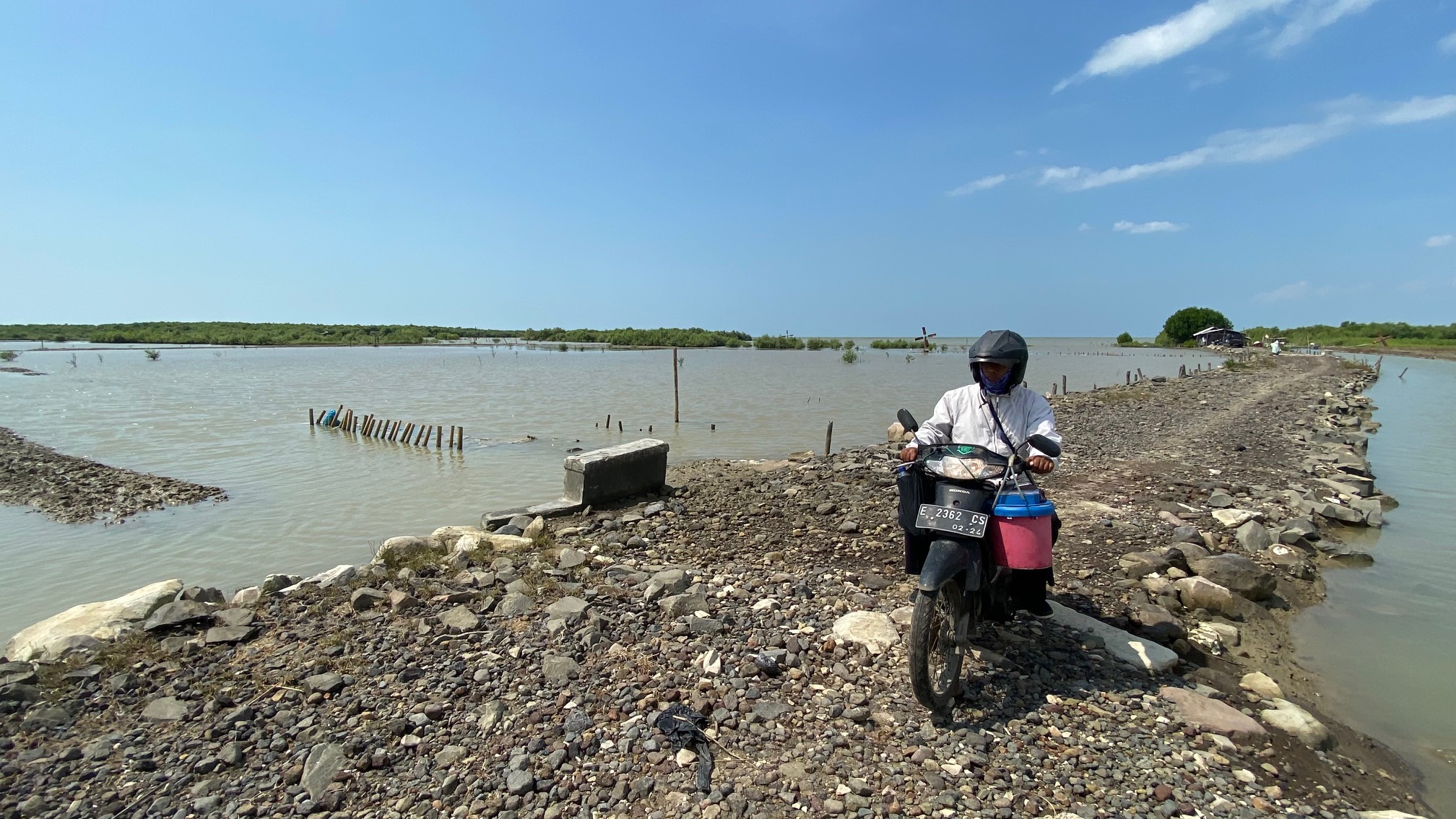 Tak Bisa Garap Lahan, Petani di Rawaurip Cirebon Hanya Bisa Gigit Jari, Padahal Harga Sedang Tinggi
