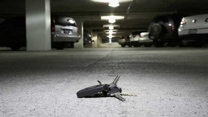 Tak Dapat Perhatian, Sopir Pribadi Nekat Curi Mobil Bosnya