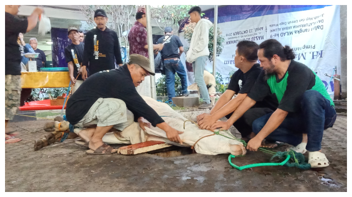 Masjid Al Ukhuwah Sediakan 1.200 Daging Untuk Mustahiq