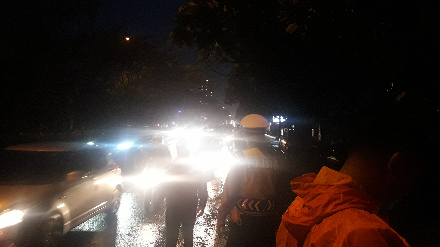 Sedang Penanganan Pohon Tumbang, Arus Lalu Lintas Jalan Soekarno-Hatta Tersendat