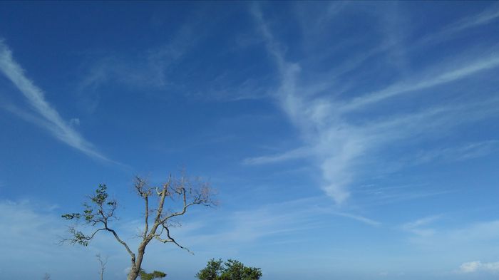 langit-dengan-cuaca-cerah-berawan_20180531_083847.jpg