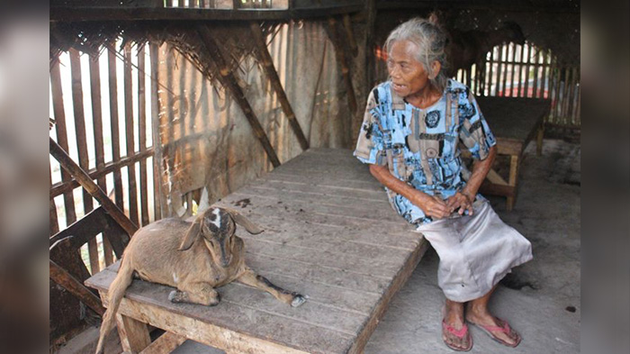 lansia-tinggal-serumah-dengan-kambing.jpg