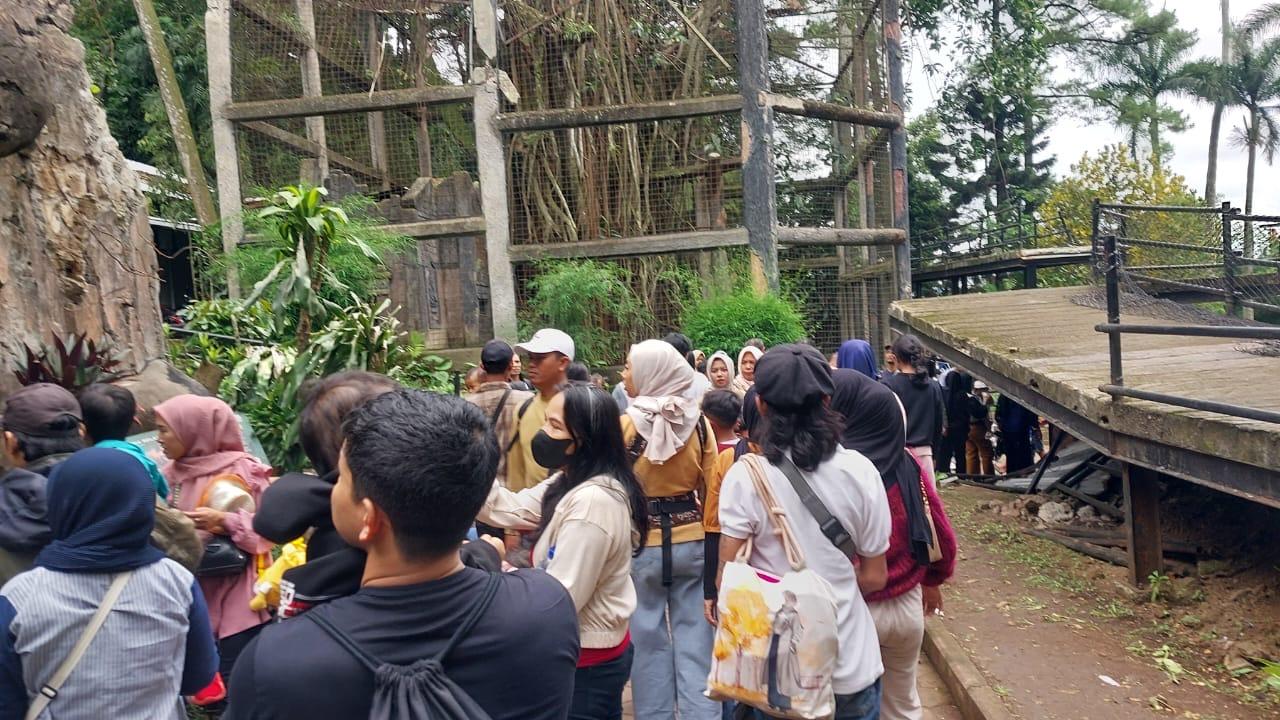 libur-isra-miraj-di-Bandung-Zoo-Sabtu-1712026-1.jpg
