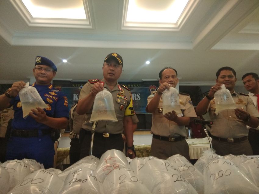 Di Indonesia Bayi Lobster Dilarang Ditangkap dan Dijual, Dua Jenis Lobster Ini Banyak Diburu