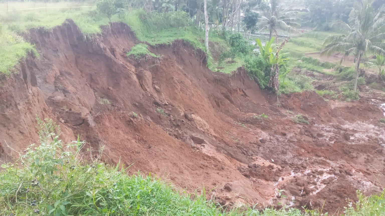 lokasi-longsor-tebing-setinggi-10-meter-di-wila.jpg