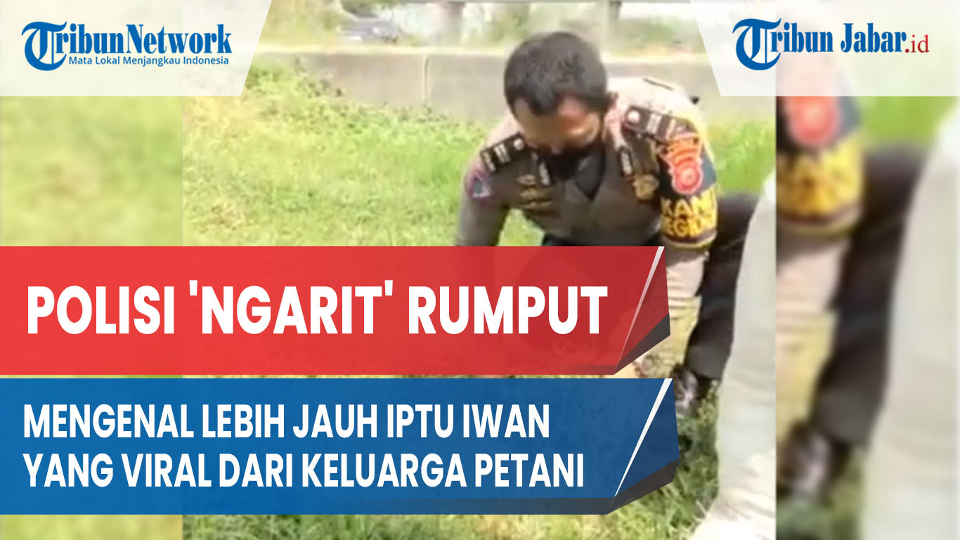 mengenal-lebih-jauh-iptu-iwan-yang-viral-bantu-warga-ngarit-rumput-dari-keluarga-petani.jpg