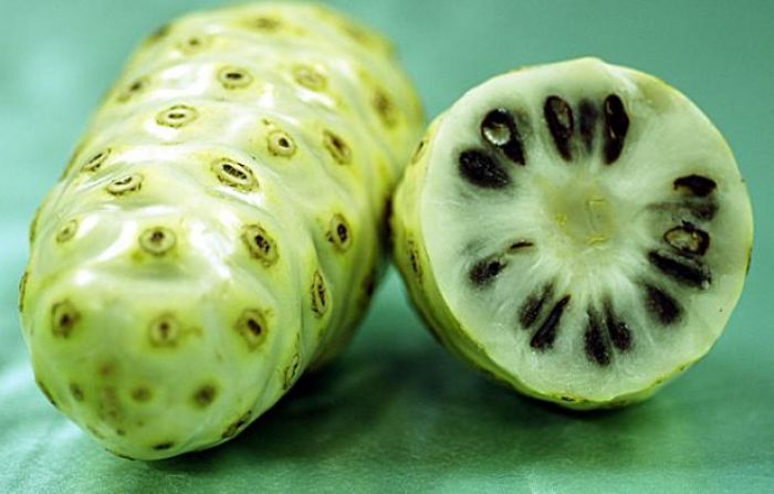 Kulit Kusam dan Kasar? Coba Manfaatkan Buah Mengkudu untuk Mengatasinya, Begini Cara Mengolahnya
